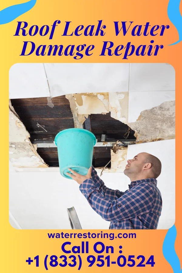 Roof Leak Water Damage Repair in St. James, LA